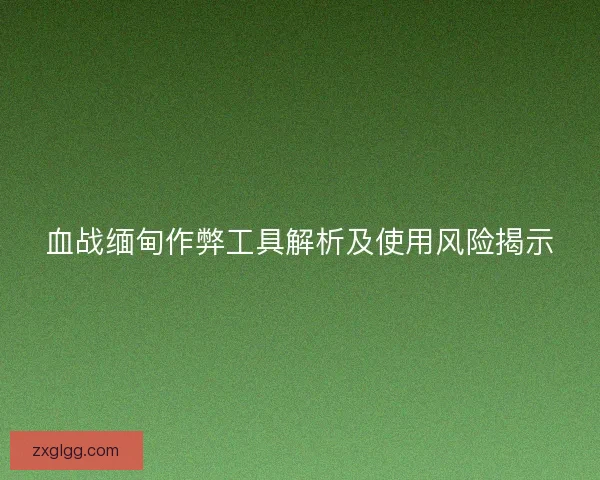 血战缅甸作弊工具解析及使用风险揭示